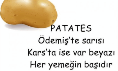 Soğuk Toprakların Eşsiz Lezzeti Kars Patatesi Neden Bu Kadar Meşhur?