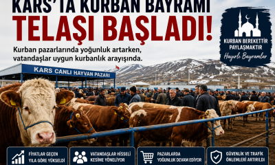 Kars’ta Kurban Bayramı Telaşı Başladı! Kurbanlık Fiyatları Cep Yakıyor