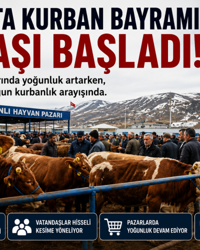 Kars’ta Kurban Bayramı Telaşı Başladı! Kurbanlık Fiyatları Cep Yakıyor