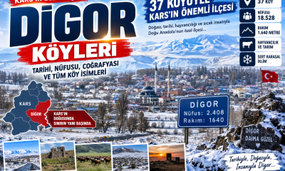 Kars Digor Köyleri: Digor’a Bağlı 37 Köyün Tam Listesi